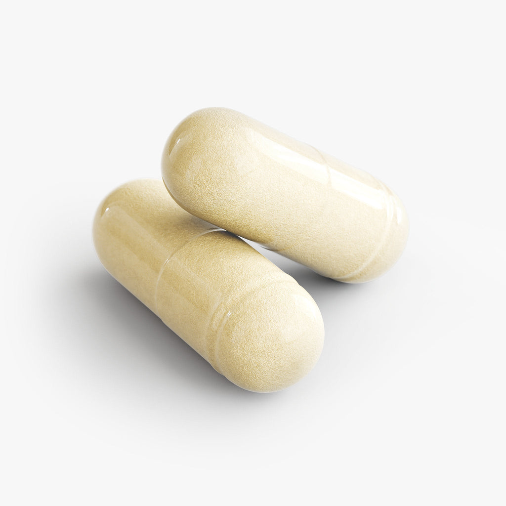 Mind Forge | Premium Nootropic Stack for Focus & Mental Clarity