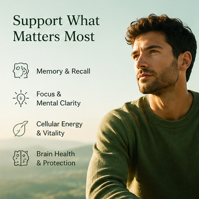 Cognition Support  Gummies
