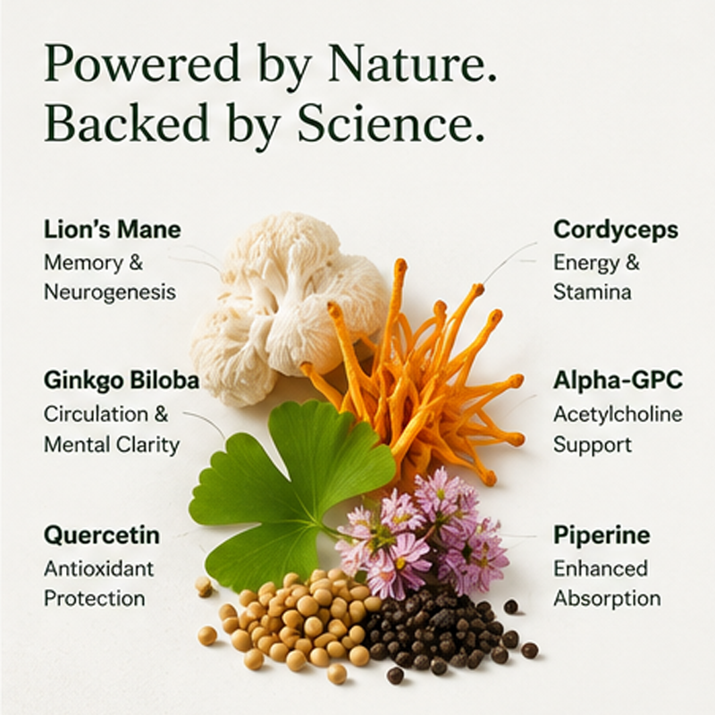 Cognition Support  Gummies