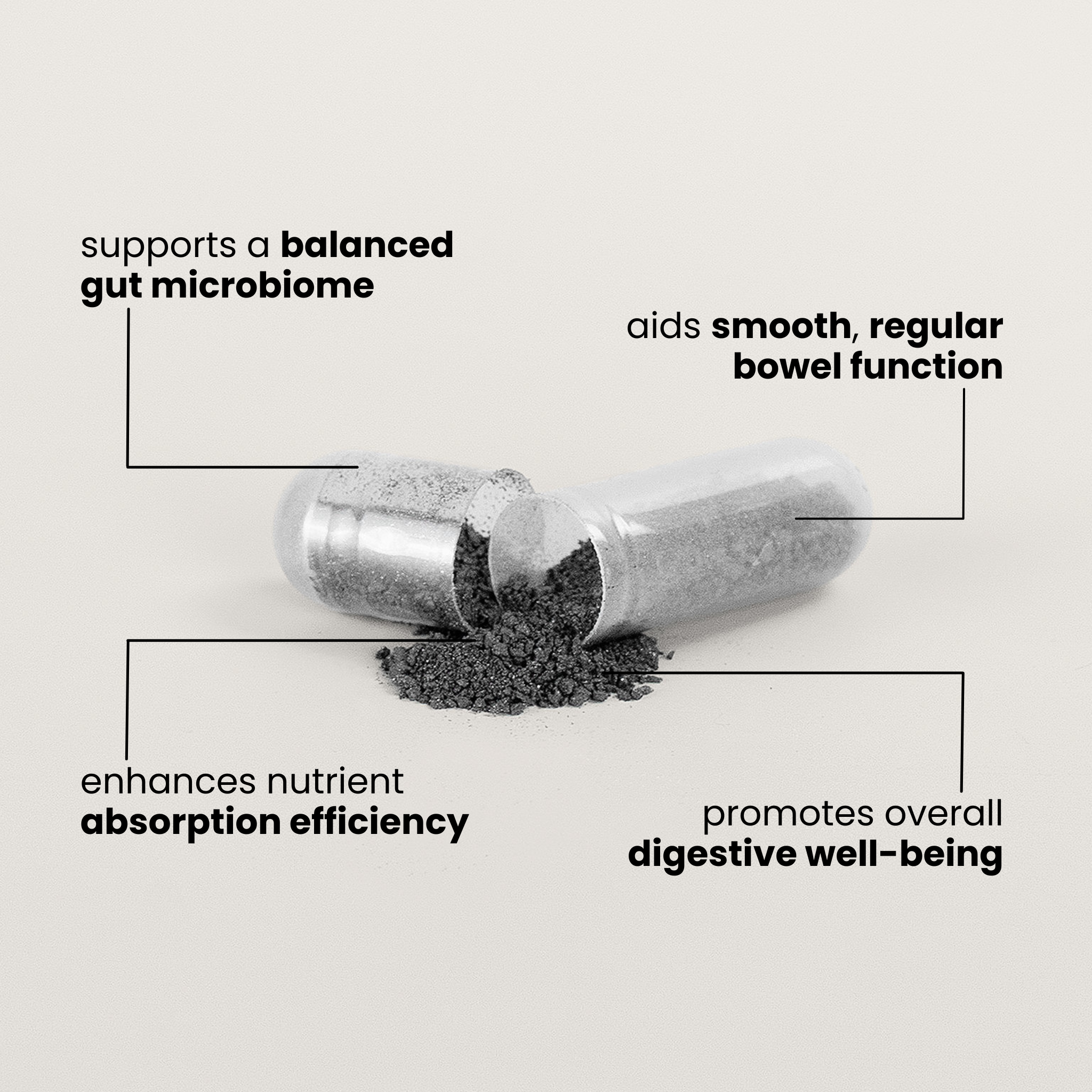 Probiotic + Enzyme Digestive Support